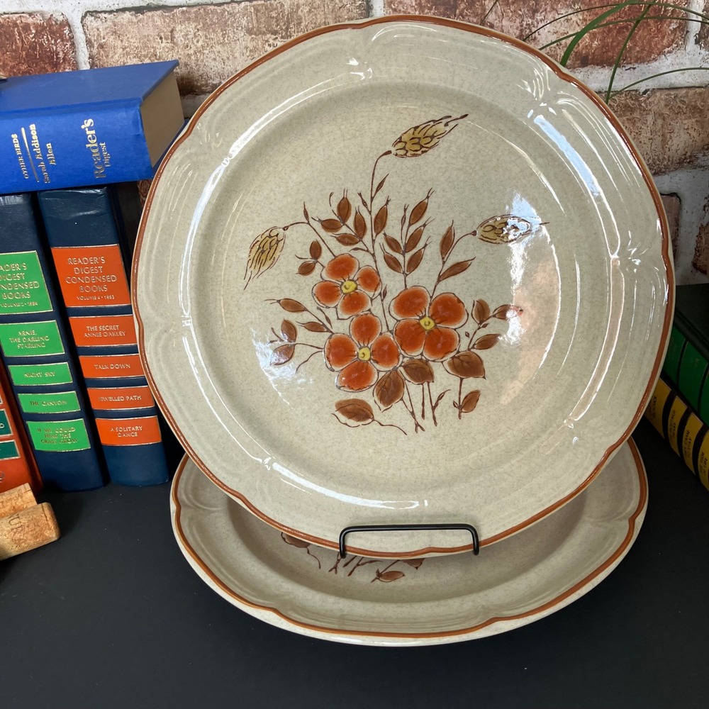 International China Co Monique Country Cousins Dinner Plates SY-7847 Set of 2